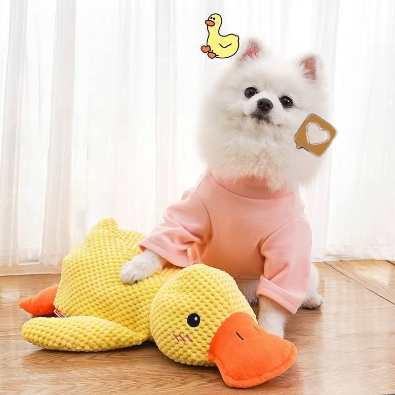 Peluche papera per cani
