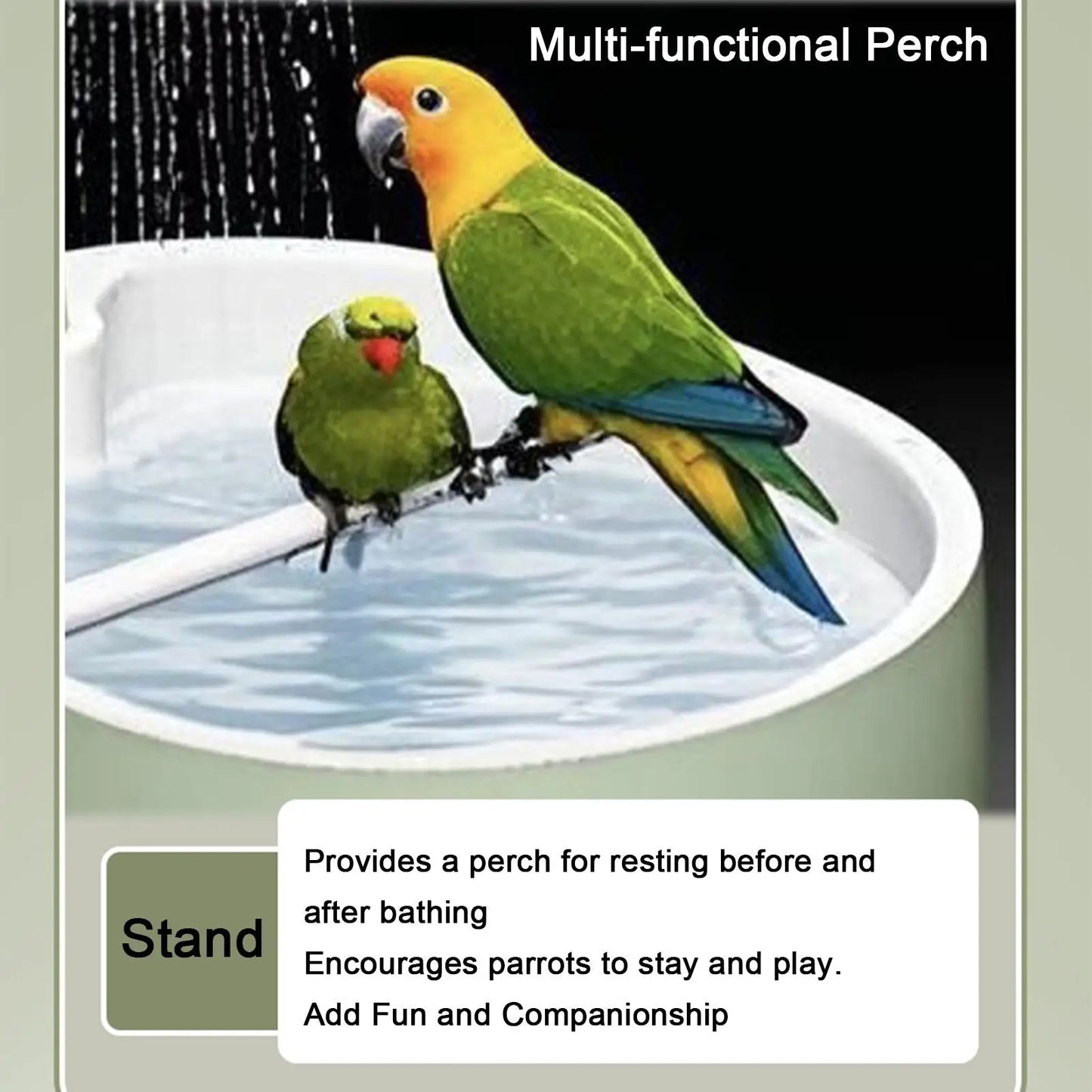 Pet Parrot USB Powered Bathtub Automatic Bird Bath Parrot Bath For Cage Indoor Parakeet Parrot Finch Cockatiel Conure Lovebird