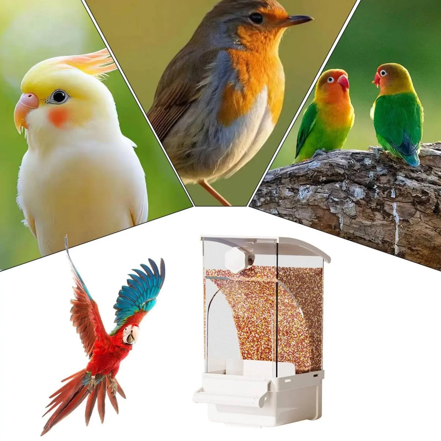 Automatic Avian Feeder Husk Separating No-Mess Avian Feeder No Mess Container Large Capacity Pet Supplies Transparent Design
