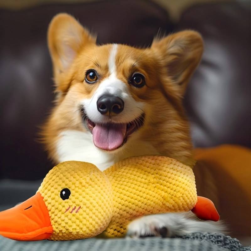 Peluche papera per cani
